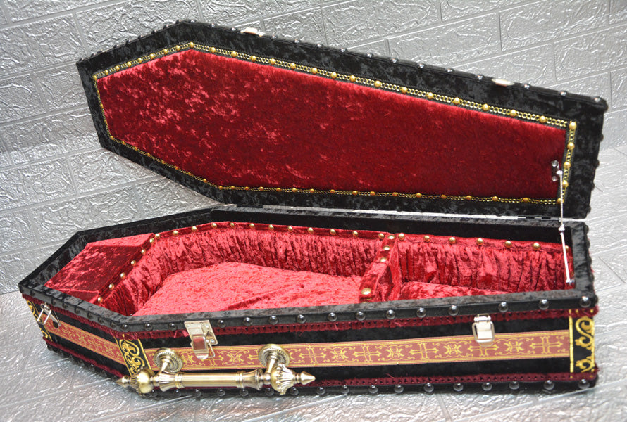 【One-of-a-kind 一点物棺 】ヴァイオリンケース Violin case Coffin BOX <NO.030>